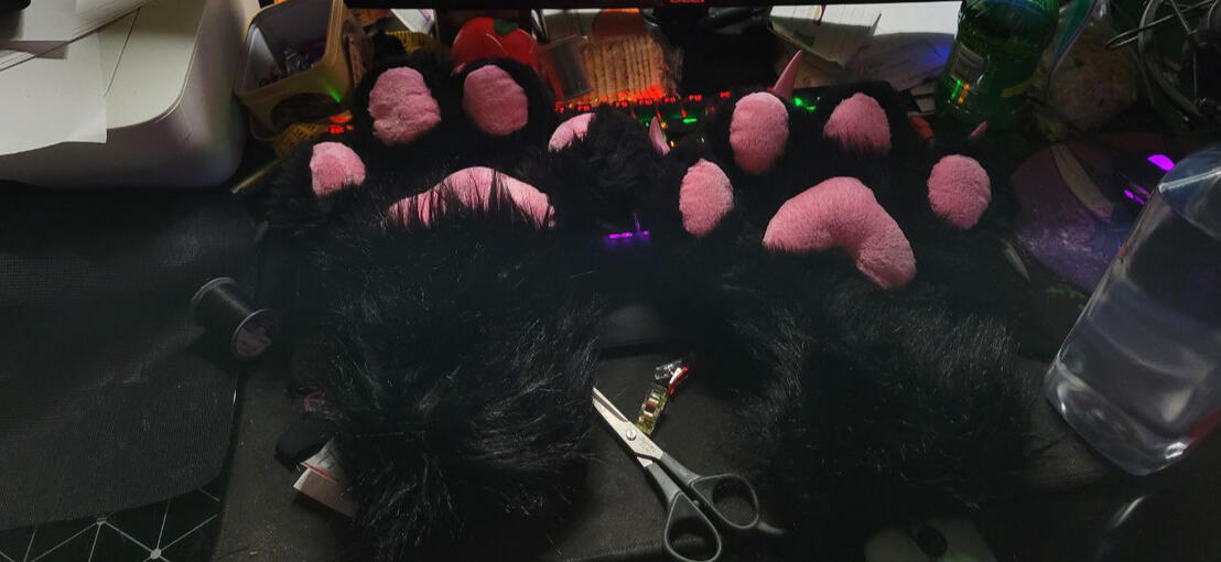 Feline handpaws