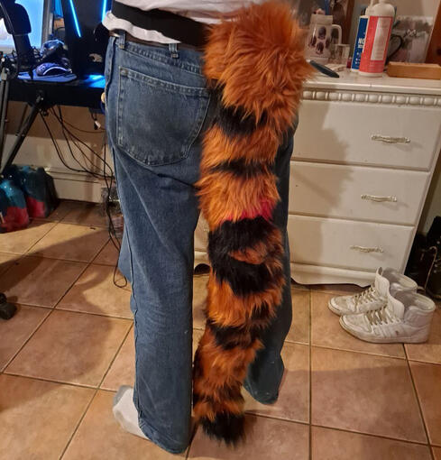 Tiger tail